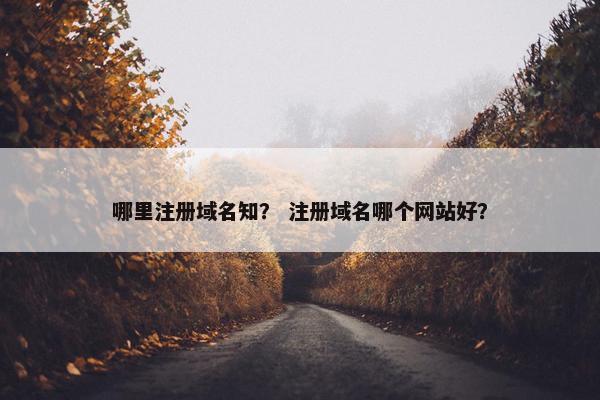 哪里注册域名知？ 注册域名哪个网站好？