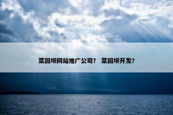 菜园坝网站推广公司？ 菜园坝开发？