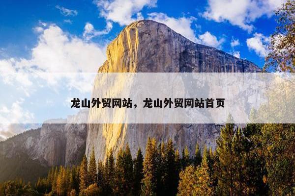 龙山外贸网站，龙山外贸网站首页
