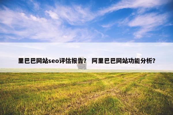 里巴巴网站seo评估报告？ 阿里巴巴网站功能分析？
