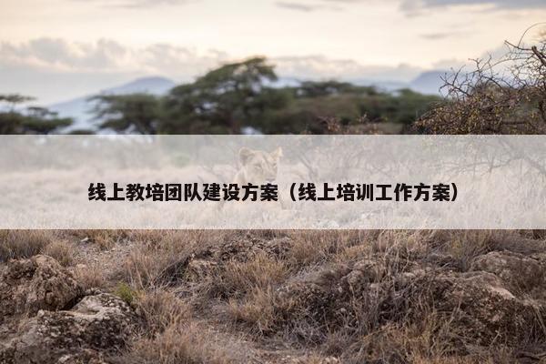 线上教培团队建设方案（线上培训工作方案）
