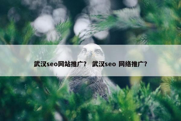 武汉seo网站推广？ 武汉seo 网络推广？