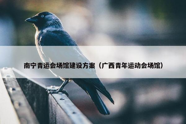 南宁青运会场馆建设方案（广西青年运动会场馆）