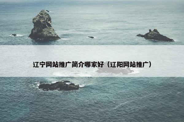 辽宁网站推广简介哪家好（辽阳网站推广）