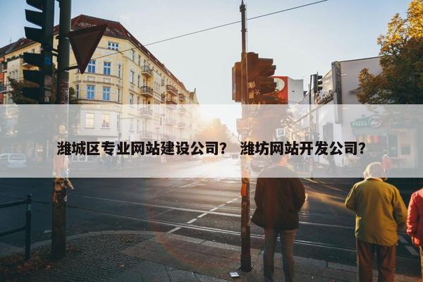 潍城区专业网站建设公司？ 潍坊网站开发公司？