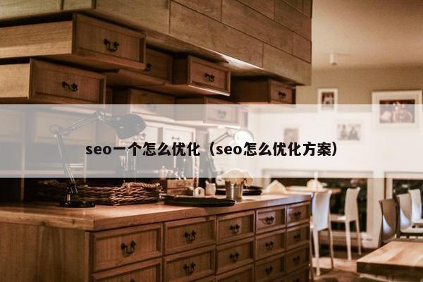 seo一个怎么优化（seo怎么优化方案）