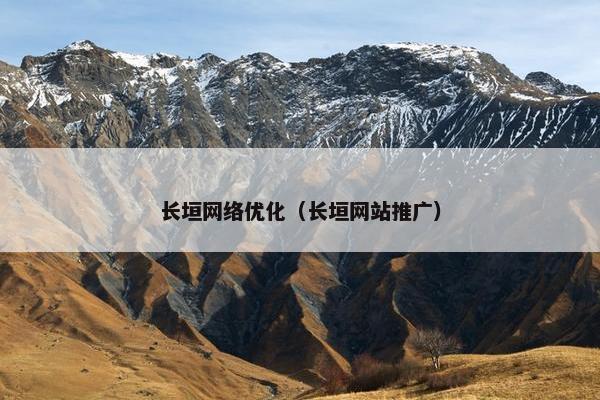 长垣网络优化（长垣网站推广）
