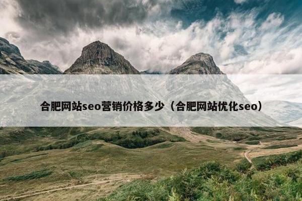 合肥网站seo营销价格多少（合肥网站优化seo）