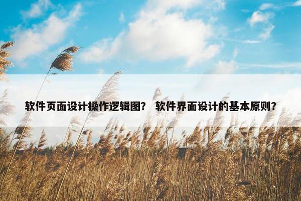 软件页面设计操作逻辑图？ 软件界面设计的基本原则？