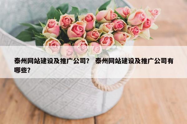泰州网站建设及推广公司？ 泰州网站建设及推广公司有哪些？