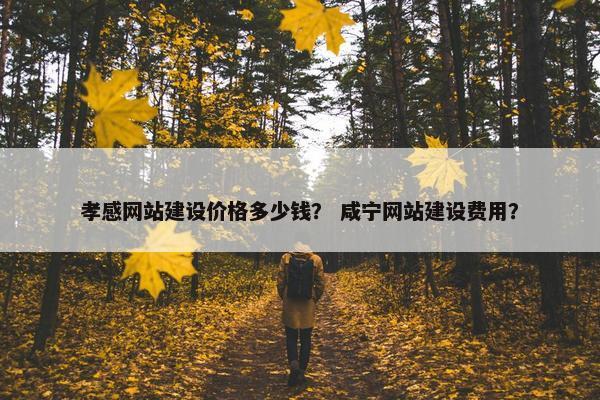 孝感网站建设价格多少钱？ 咸宁网站建设费用？
