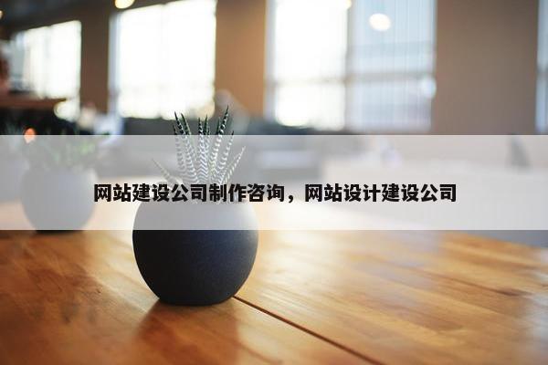 网站建设公司制作咨询，网站设计建设公司