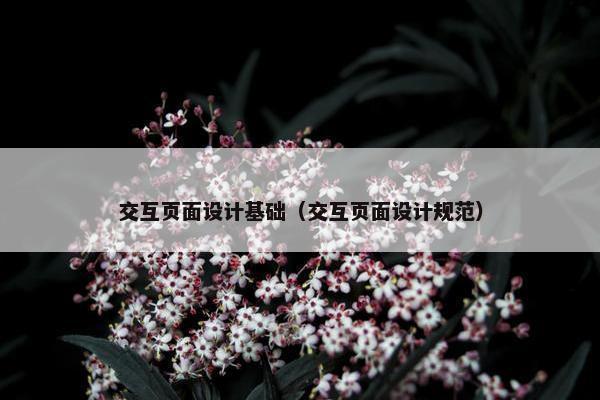 交互页面设计基础（交互页面设计规范）