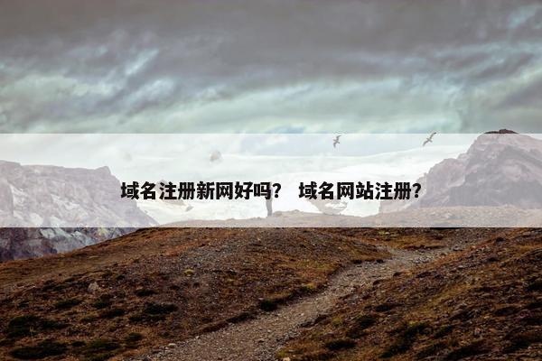 域名注册新网好吗？ 域名网站注册？