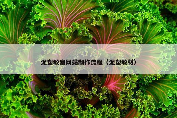 泥塑教案网站制作流程（泥塑教材）