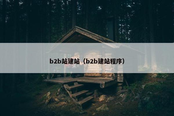 b2b站建站（b2b建站程序）