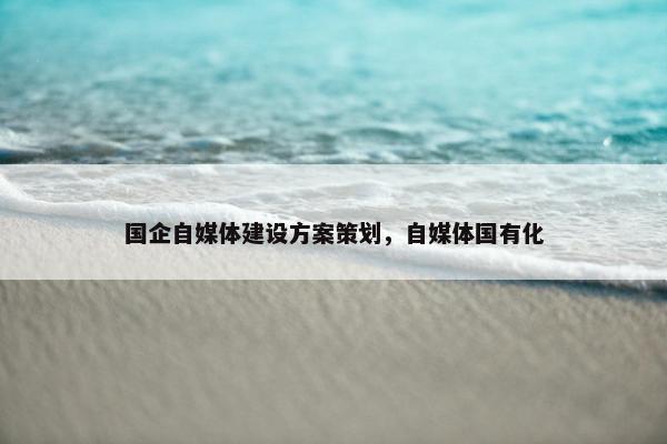 国企自媒体建设方案策划，自媒体国有化