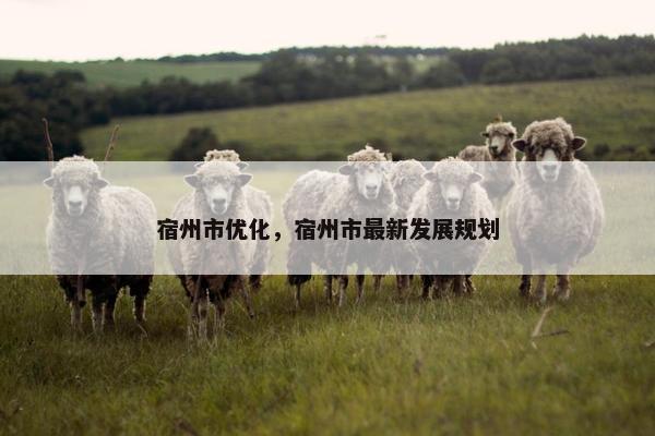 宿州市优化，宿州市最新发展规划