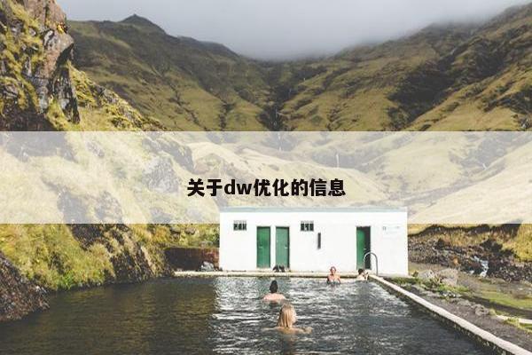 关于dw优化的信息
