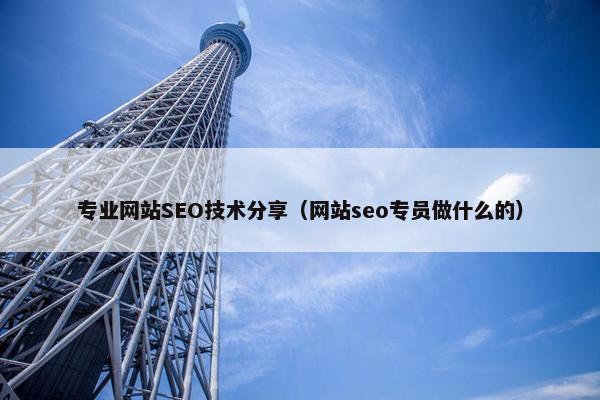 专业网站SEO技术分享（网站seo专员做什么的）