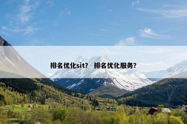 排名优化sit？ 排名优化服务？