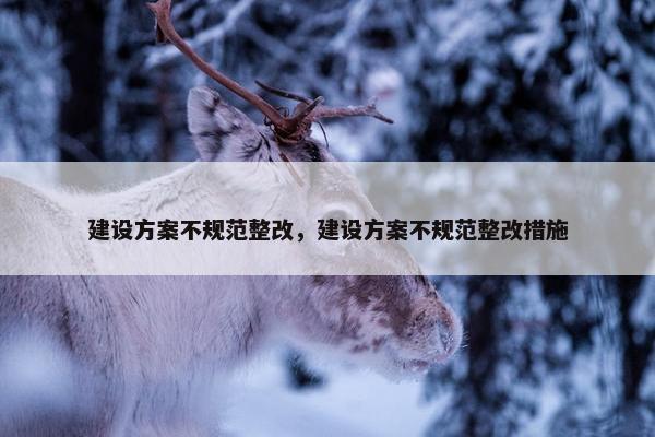 建设方案不规范整改，建设方案不规范整改措施