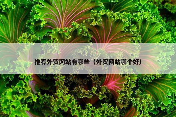 推荐外贸网站有哪些（外贸网站哪个好）