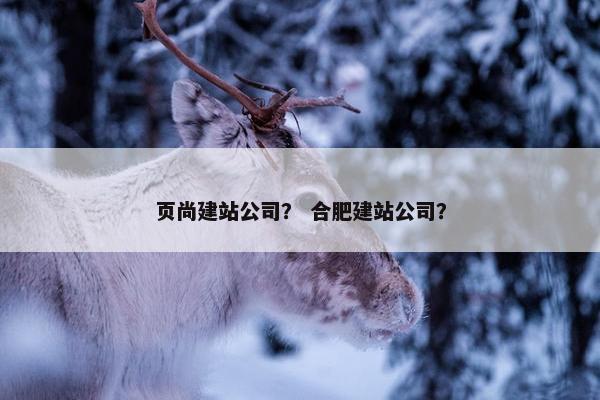 页尚建站公司？ 合肥建站公司？