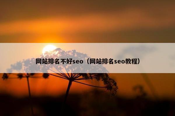 网站排名不好seo（网站排名seo教程）