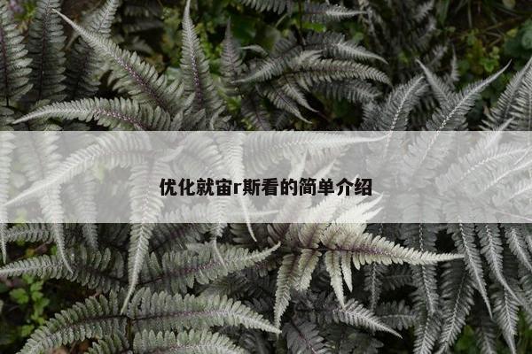 优化就宙r斯看的简单介绍