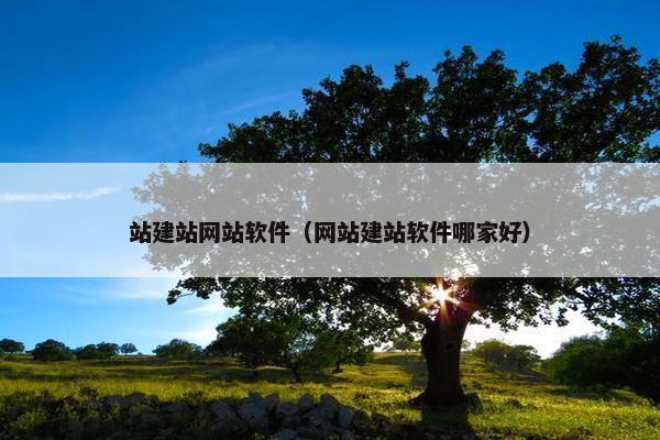 站建站网站软件（网站建站软件哪家好）