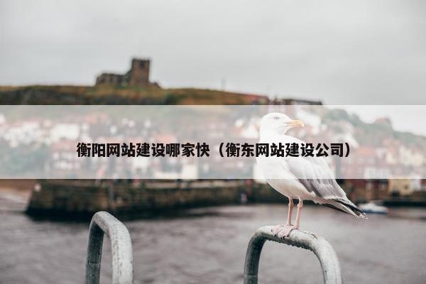 衡阳网站建设哪家快（衡东网站建设公司）