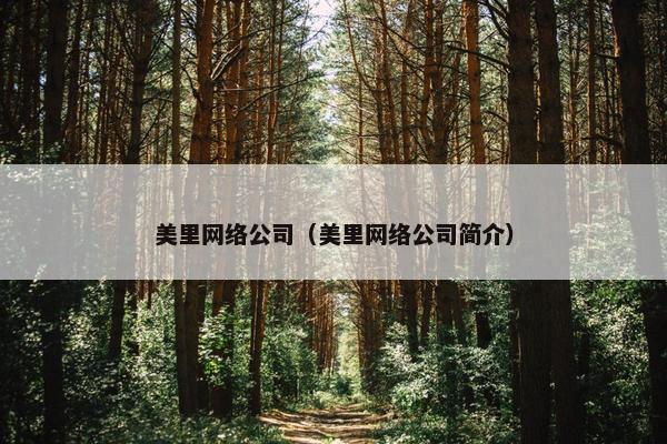 美里网络公司（美里网络公司简介）