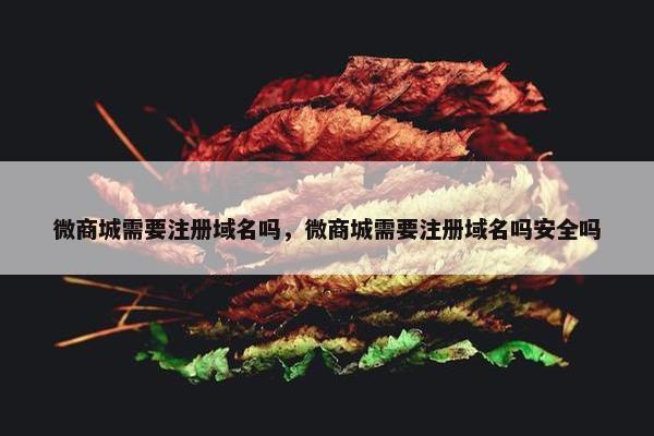 微商城需要注册域名吗，微商城需要注册域名吗安全吗