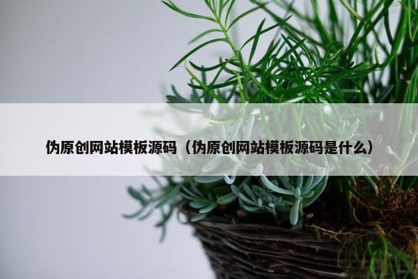 伪原创网站模板源码（伪原创网站模板源码是什么）