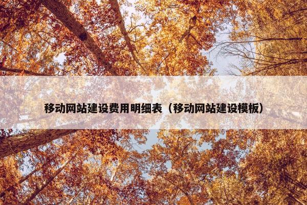 移动网站建设费用明细表（移动网站建设模板）