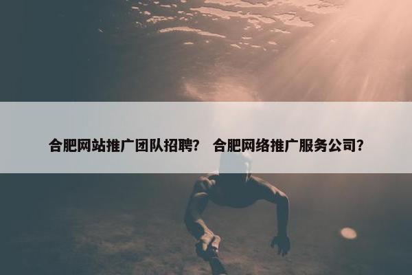 合肥网站推广团队招聘？ 合肥网络推广服务公司？