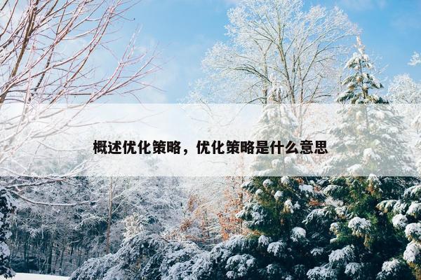 概述优化策略，优化策略是什么意思