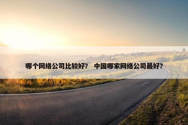 哪个网络公司比较好？ 中国哪家网络公司最好？
