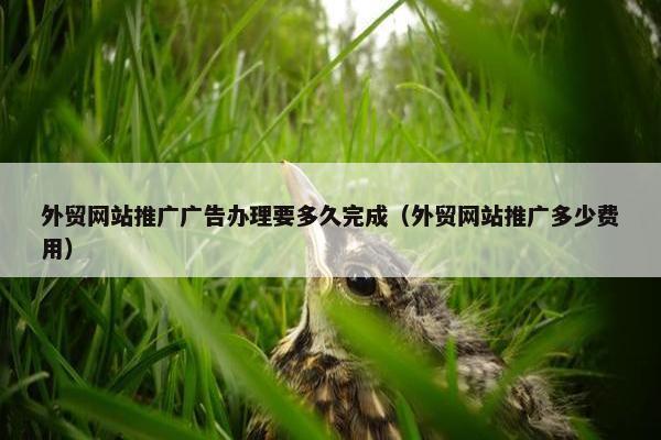 外贸网站推广广告办理要多久完成（外贸网站推广多少费用）