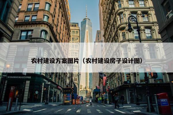 农村建设方案图片（农村建设房子设计图）