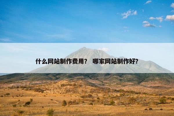 什么网站制作费用？ 哪家网站制作好？