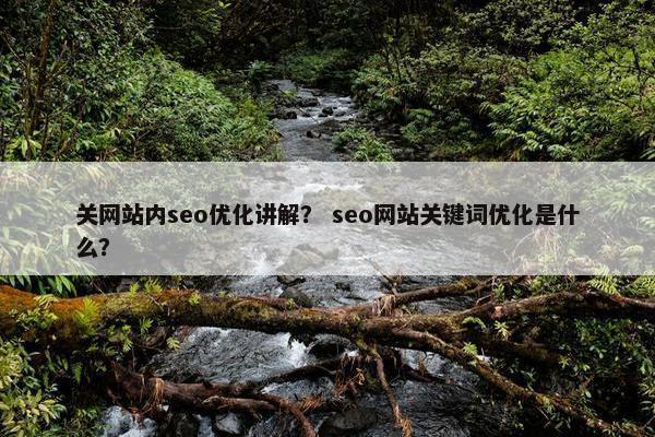 关网站内seo优化讲解？ seo网站关键词优化是什么？