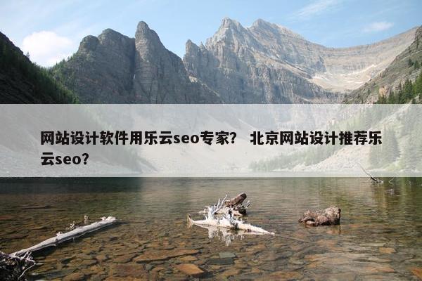 网站设计软件用乐云seo专家？ 北京网站设计推荐乐云seo？