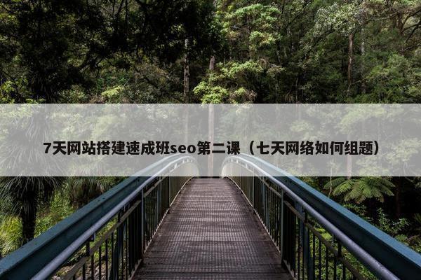 7天网站搭建速成班seo第二课（七天网络如何组题）