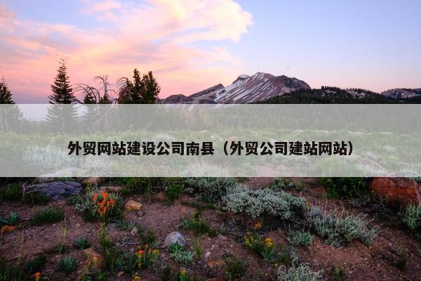 外贸网站建设公司南县（外贸公司建站网站）