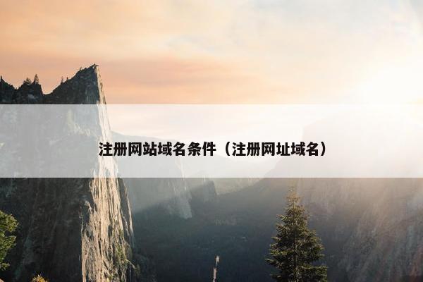 注册网站域名条件（注册网址域名）