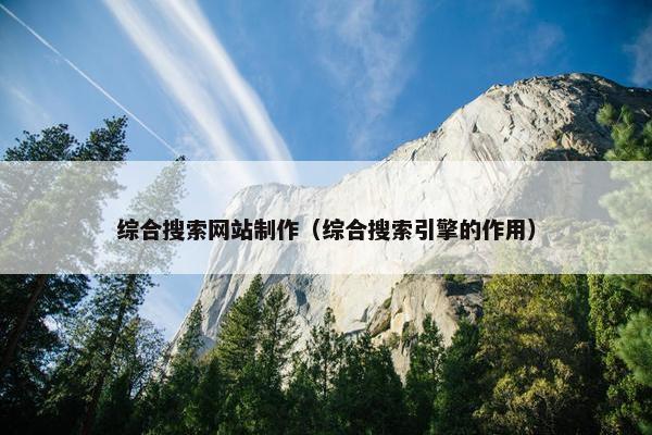 综合搜索网站制作（综合搜索引擎的作用）