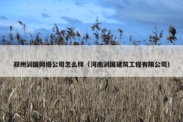 郑州润国网络公司怎么样（河南润国建筑工程有限公司）