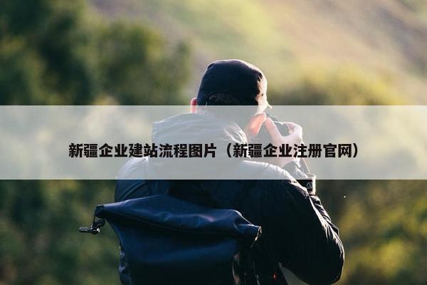 新疆企业建站流程图片（新疆企业注册官网）